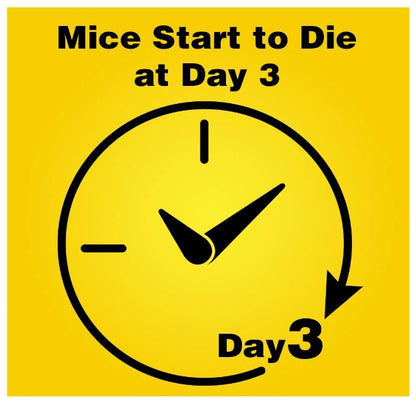 D-Con Refillable Corner Fit Mouse Poison Bait Station Refills, 10 Count
